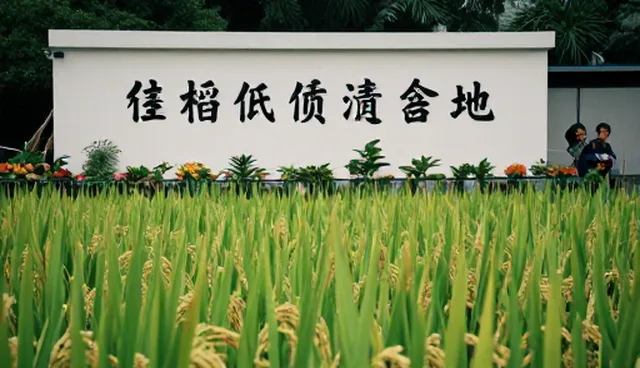 如何提升团队组织效率？团队管理关键问题解析
